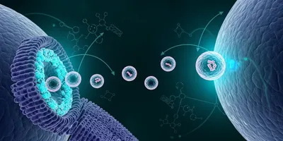 Exossomos: a comunicação inteligente da regeneração